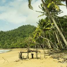 Driftwood Bed and Breakfast