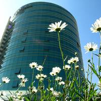 Camino Real Suites