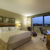 Hilton Budapest City