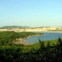 Whale Island Resort
