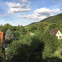 Brauner Hirsch