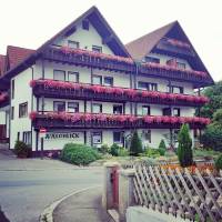 Waldblick Hotel