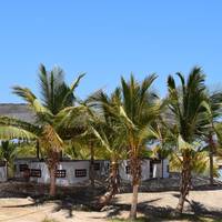 Mangrove Bay Resort