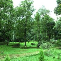 Greenmagic Nature