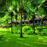 Manaltheeram Ayurveda Beach Village