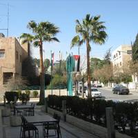 Tolido