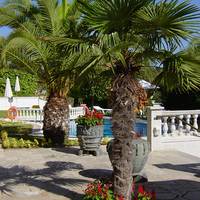 Bonsol Welcome Summer Offers
