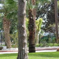 Abamar Hotel