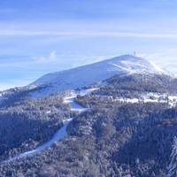 Alpine Mugon Monte Bondone