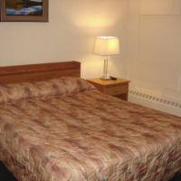 Best Western Black Gold Inn