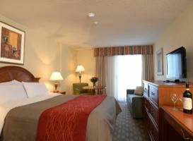 Comfort Inn Fallsview