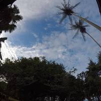 Manukan Island Resort