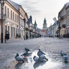 Campanile Lublin