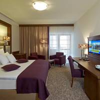 Mercure Krynica Zdroj Resort & SPA (ex. Motyl)