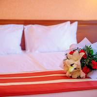 Hotel Bogema