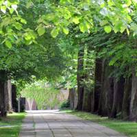 Park