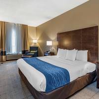 Comfort Inn & Suites Downtown