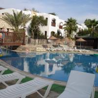 Club Olea