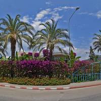 Daima Resort