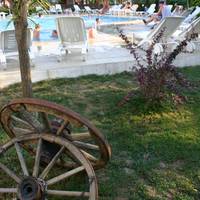 Yalipark Club