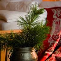 Hotel Nives Selva Gardena 4*S