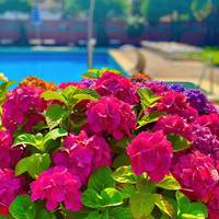 Hotel Terme Firenze
