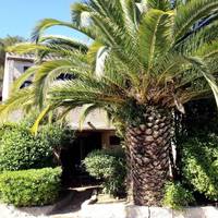 Res. Odalys Vacances Les Mimosas -