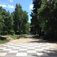 Парк Отель Оазис