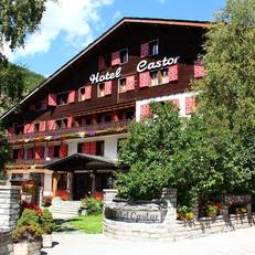 Castor