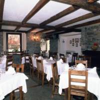 Tavernier (Курмайор)