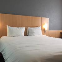 Ibis Geneve Centre Gare Hotel