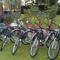 Hotel Villa Romantica (Limone sul Garda)