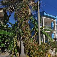 Yali Beach Hotel  