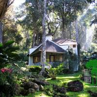 The Tall Trees Resort