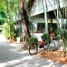 Milky Bay Resort