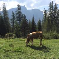 Kastel Seiser Alm (Castelrotto/Alpe di Siusi)