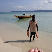 The Wild Orchid (Havelock Island)