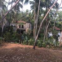 Ideal Ayurvedic Resort Chowara Beach