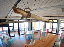 Il Delfino Hotel-Ristorante