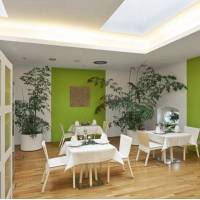 Hotel Elbresidenz Bad Schandau Viva Vital & Medical SPA