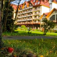 Ареал Конгресс-отель