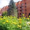 Пансионат Звенигородский РАН