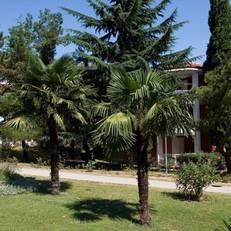 Depadance Perla