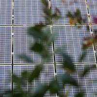 EcoHotel Roma