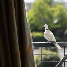 Hylands Burren Hotel