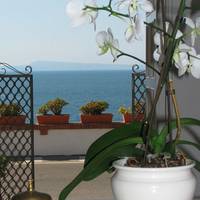 Villa Garden