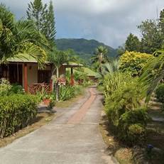 Paradise Flycatcher's Lodge
