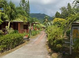 Paradise Flycatcher's Lodge