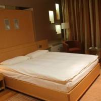 Hotel Elena
