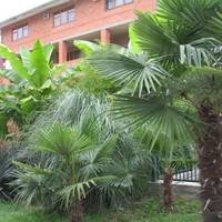 Arian Guest House